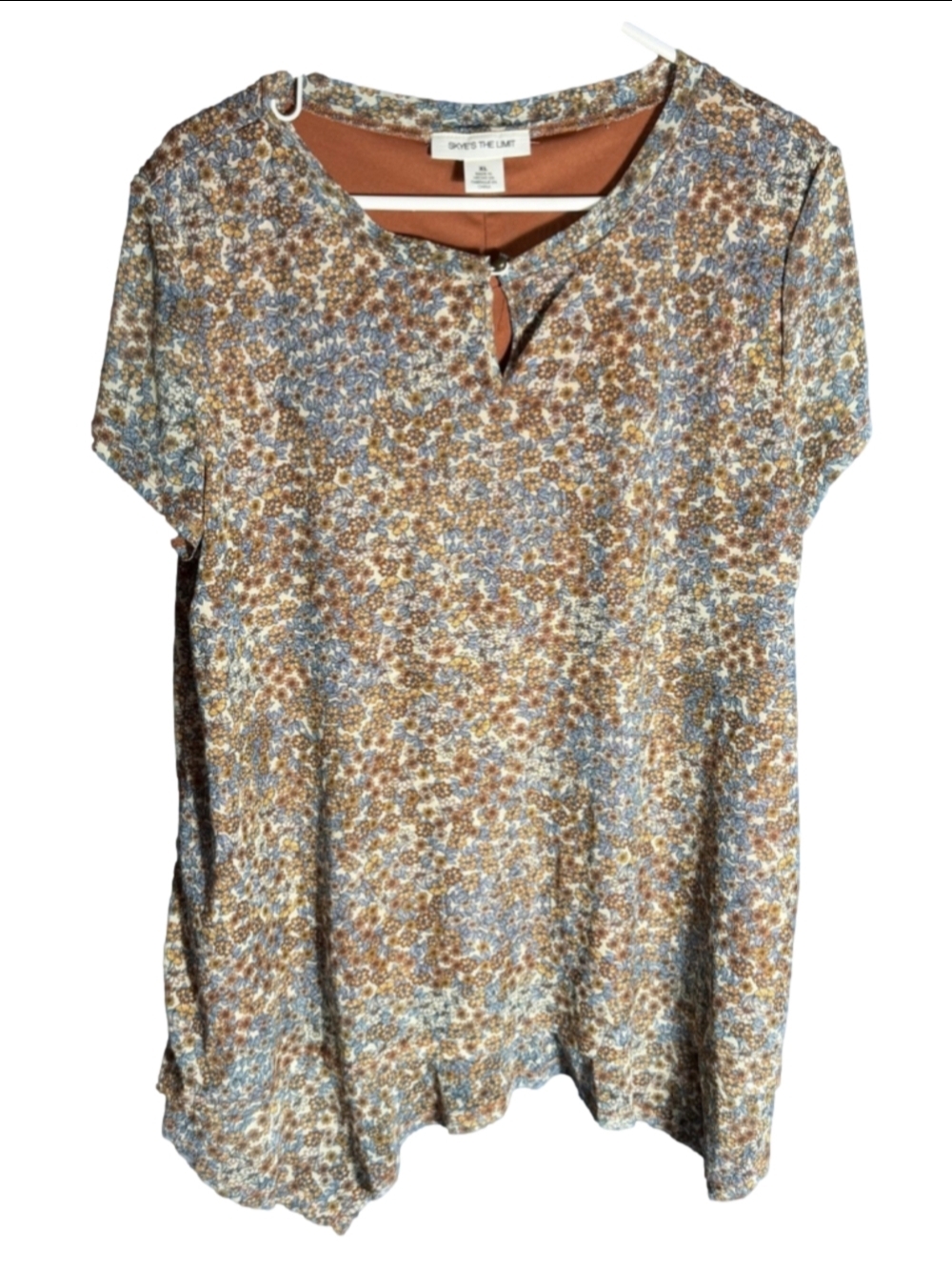 Women's SKYE'S THE LIMIT Short Sleeve Tee XL Brown Blue Floral cottagecore y2k